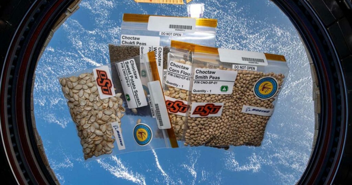 Rural Oklahoma students await return of Choctaw Nation heirloom seeds ...