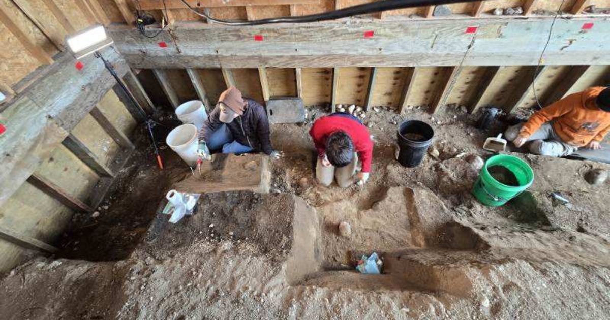 North Dakota mammoth dig unearths ‘rare’ array of bones from beneath ...