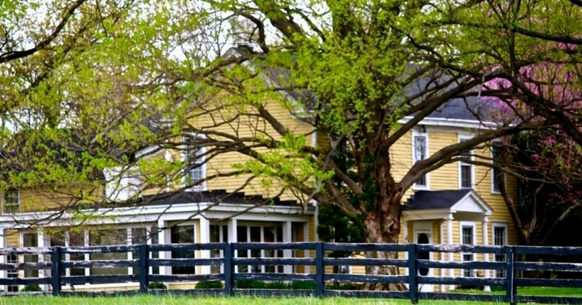 Sallie Bingham foundation she endowed face off in court over future of