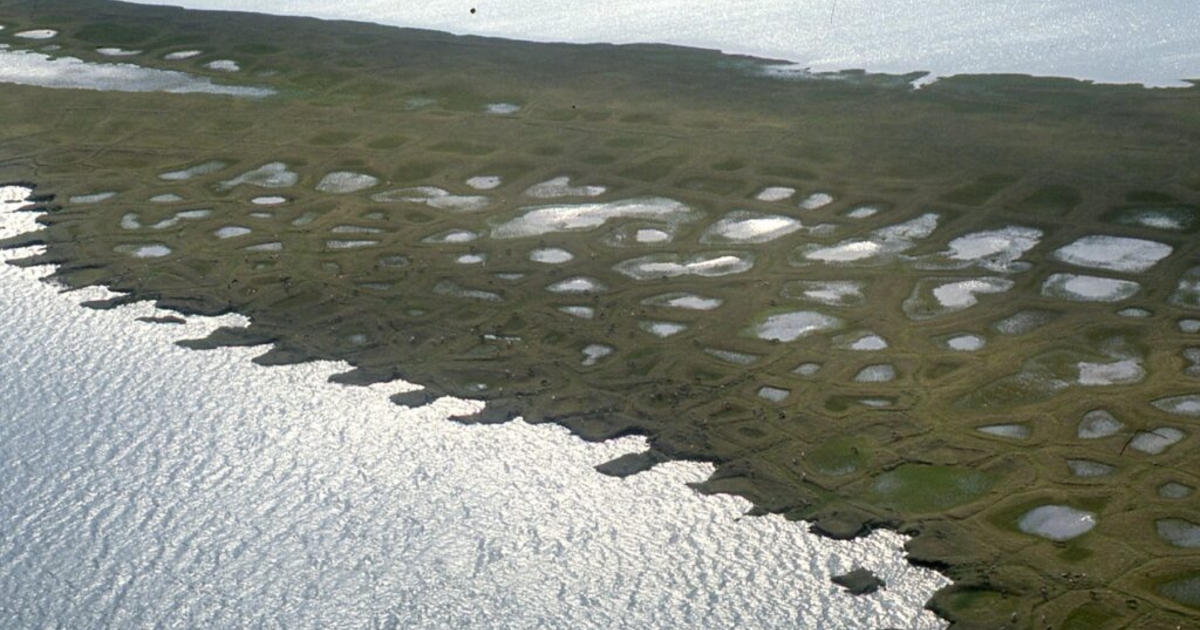 On eve of Arctic Alaska oil lease sale, critics ask for delays | News ...