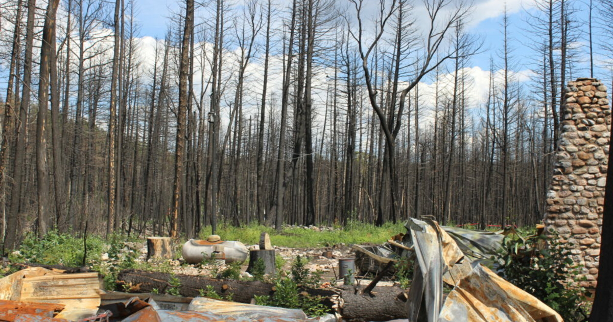 A move to ban prescribed burns amid risky weather conditions is almost